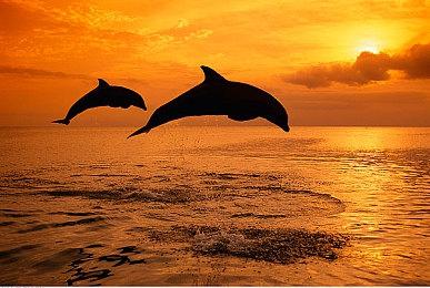 《暗黑破坏神4》第十赛季前暂停重大更新 只有小型更新